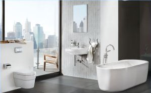 Modern Bathroom Trends